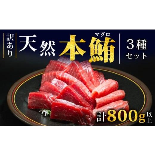 ふるさと納税 旬の鮮魚等 岩手県 大船渡市 スピード発送 天然本まぐろ 赤身 中トロ 大トロ セット 800g以上 訳あり まぐろ 刺身 さしみ 刺し身 鮮魚 まぐろ赤…