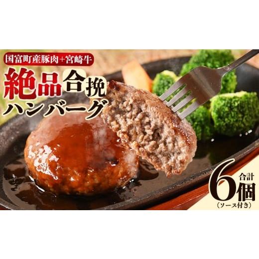 ふるさと納税 惣菜・レトルト 冷凍 宮崎県 国富町 絶品合挽ハンバーグ 6個 入金確認後、翌月末迄に順次出荷 ジューシー ソース付き 国富産 豚肉 宮崎牛 ブラ…
