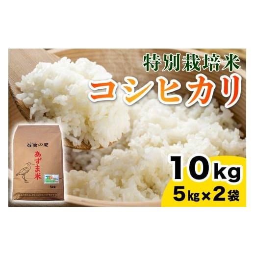 ふるさと納税 米 コシヒカリ 茨城県 稲敷市 令和7年産 特別栽培米 コシヒカリ 10kg (5kg×2袋)|産地 直送 白鷺の里 あずま米 こしひかり 茨城県 稲敷市 1907…