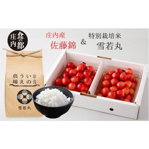 ふるさと納税 果物類 さくらんぼ 山形県 三川町 食の都庄内 庄内産さくらんぼ「佐藤錦400g」&特別栽培米2kg「雪若丸」セット 令和8年6月中下旬頃発送予定