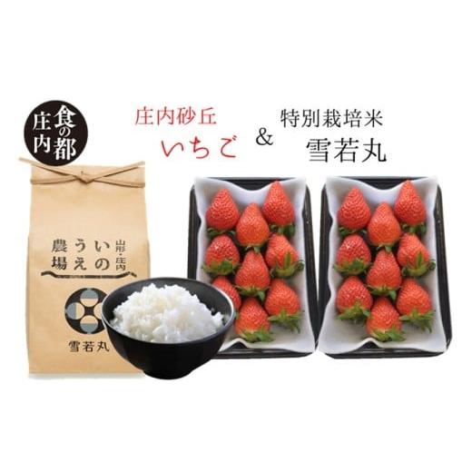 ふるさと納税 いちご 山形県 三川町 食の都庄内 庄内産いちご180g×2パック&特別栽培米2kg「雪若丸」セット