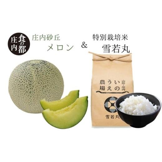 ふるさと納税 メロン メロン青肉 山形県 三川町 食の都庄内 庄内産メロン2玉&特別栽培米2kg「雪若丸」セット 令和8年6月中下旬〜8月上旬頃まで