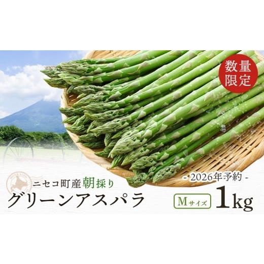 ふるさと納税 野菜類 アスパラガス 北海道 ニセコ町 数量限定 北海道ニセコ町産 グリーンアスパラMサイズ1kg 2026年予約・5月中旬より出荷予定 02031