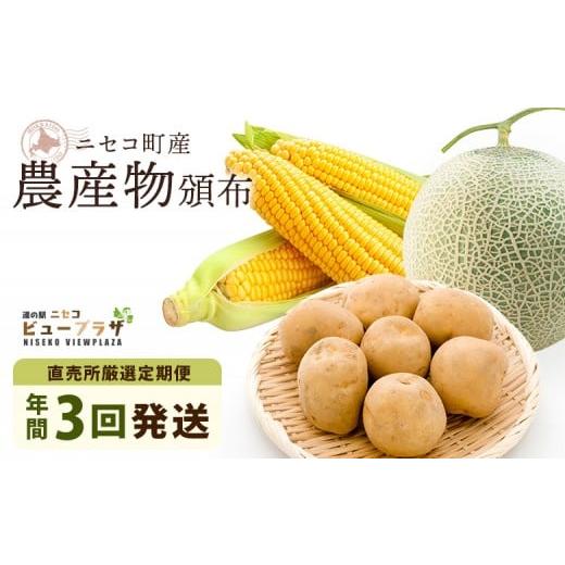 ふるさと納税 メロン 北海道 ニセコ町 道の駅ニセコビュープラザ直売所厳選定期便 北海道ニセコ町産農産物頒布(年間3回発送) 2026年予約 02032