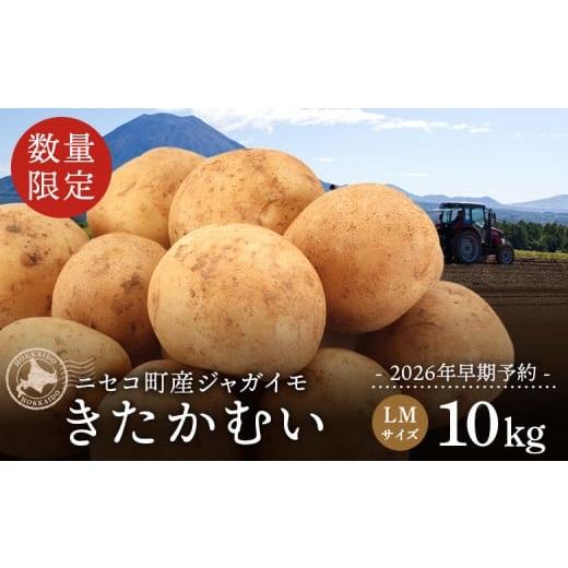 ふるさと納税 野菜類 じゃがいも 北海道 ニセコ町 北海道ニセコ町産 ジャガイモ きたかむい LMサイズ 10kg 数量限定・2026年早期予約・10月より出荷予定 …