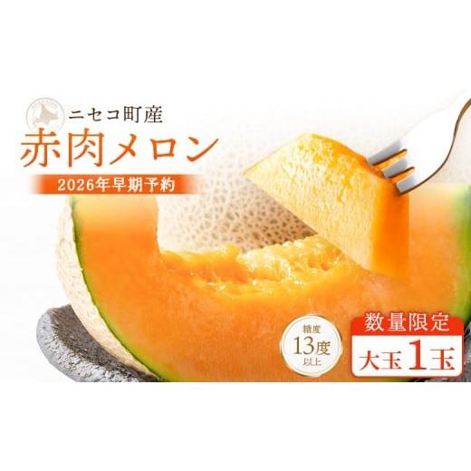 ふるさと納税 メロン メロン赤肉 北海道 ニセコ町 北海道ニセコ町産 赤肉メロン大玉1玉 数量限定・2026年早期予約・7月下旬より出荷予定 02035