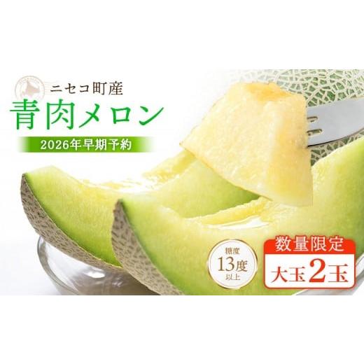 ふるさと納税 メロン メロン青肉 北海道 ニセコ町 北海道ニセコ町産 青肉メロン大玉2玉 数量限定・2026年早期予約・7月下旬より出荷予定 02036