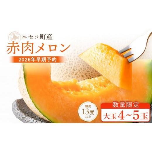 ふるさと納税 メロン メロン赤肉 北海道 ニセコ町 北海道ニセコ町産 赤肉メロン4〜5玉 数量限定・2026年早期予約・7月下旬より出荷予定 02038