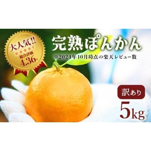 ふるさと納税 みかん・柑橘類 高知県 東洋町 先行予約 訳アリ完熟ぽんかん 5kg 国産 東洋町産 訳あり 甘酸っぱい ジューシー 高知県 東洋町 四国 お取り寄せ …