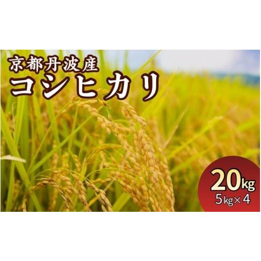 ふるさと納税 米 コシヒカリ 京都府 亀岡市 14営業日以内発送 令和7年産 米 京都丹波産コシヒカリ 20kg (5kg×4袋) JA京都たわわ朝霧 農協 白米 精米 産地直…
