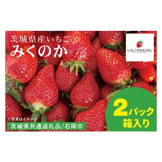 ふるさと納税 いちご 茨城県 水戸市 数量限定 離島配送不可 みくのか 2パック/箱 茨城県共通返礼品/石岡市 いちご イチゴ 苺 果物 くだもの フルーツ 茨城…