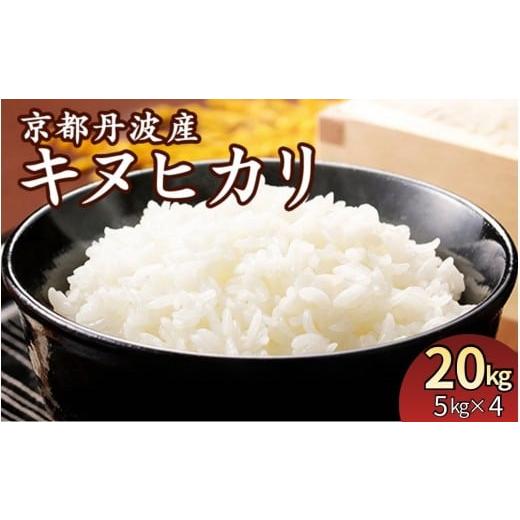 ふるさと納税 米 京都府 亀岡市 14営業日以内発送 令和7年産 米 京都丹波産キヌヒカリ 20kg (5kg×4袋) JA京都たわわ朝霧 農協 白米 精米 産地直送 送料無料 …