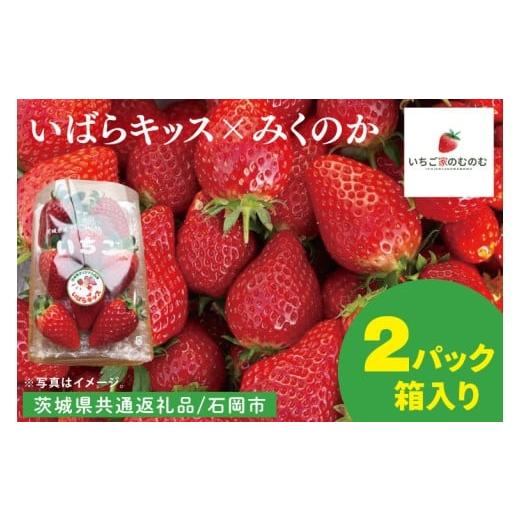 ふるさと納税 いちご 茨城県 水戸市 数量限定 離島配送不可 いばらキッス×みくのか 2パック/箱 茨城県共通返礼品/石岡市 いちご イチゴ 苺 果物 くだもの …