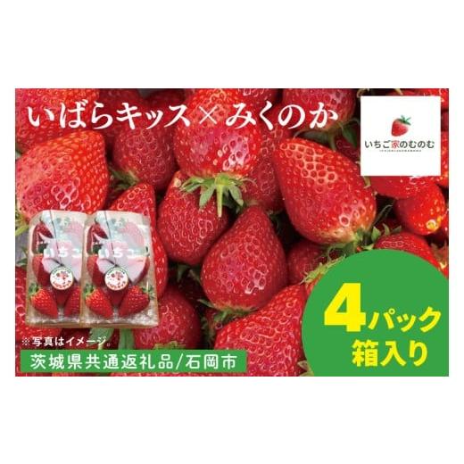 ふるさと納税 いちご 茨城県 水戸市 数量限定 離島配送不可 いばらキッス×みくのか 4パック/箱 茨城県共通返礼品/石岡市 いちご イチゴ 苺 果物 くだもの …
