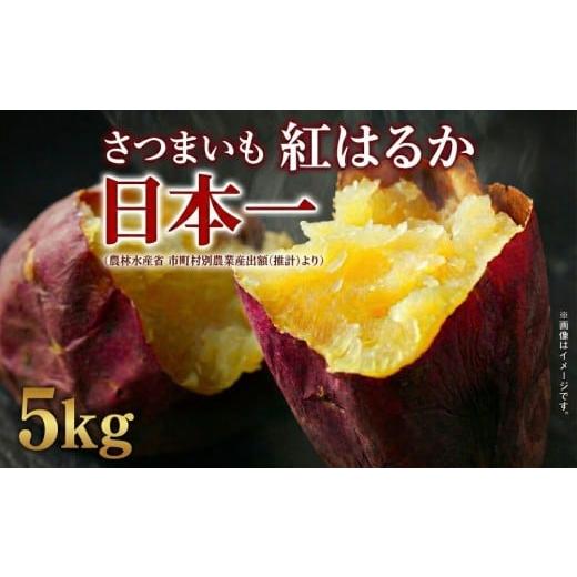 ふるさと納税 野菜類 サツマイモ 茨城県 鉾田市 さつまいも 紅はるか 訳ありB品 5kg サツマイモ 甘藷 産出額 日本一 茨城県 鉾田市 さつまいも紅はるか5kg
