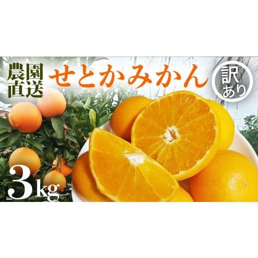 ふるさと納税 みかん・柑橘類 茨城県 つくばみらい市 訳あり ご家庭用 ハウスせとかみかん 3kg サイズお任せ せとか みかん 果物 フルーツ デザート 茨城県