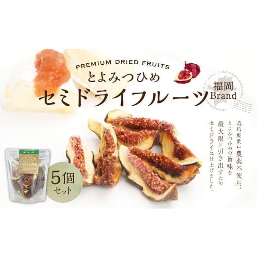 ふるさと納税 いちじく 福岡県 香春町 福岡ブランド とよみつひめ セミドライフルーツ 5個セット いちじく 無花果 イチジク フルーツ スイーツ 果物 くだもの