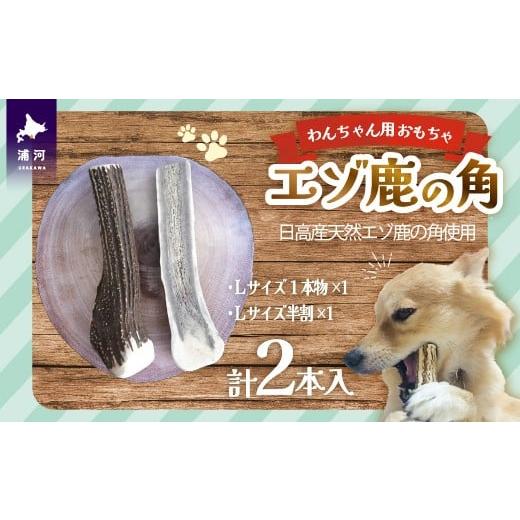 ふるさと納税 雑貨・日用品 玩具 北海道 浦河町 エゾ鹿の角 Lサイズ1本と半割1本のセット
