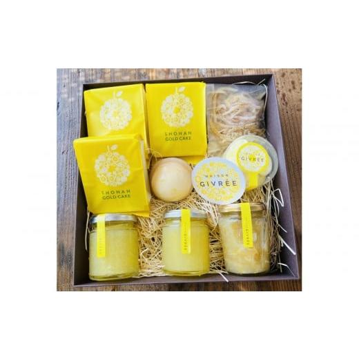 ふるさと納税 焼菓子・チョコレート 神奈川県 小田原市 湘南ゴールドジャム・ゼリーセット