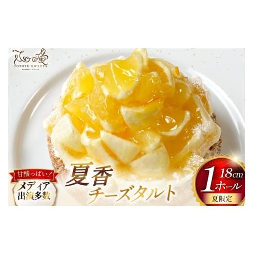 ふるさと納税 ケーキ・カステラ チーズケーキ 長崎県 平戸市 柑橘 スイーツ 夏香 チーズ タルト 1ホール 18cm 心優-Cotoyu Sweets- 長崎県 平戸市 hr42bjo4900…