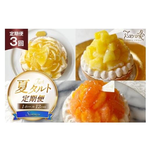 ふるさと納税 ケーキ・カステラ タルト 長崎県 平戸市 タルト 夏タルトB 1ホール 12cm 3回 定期便 夏香 パイン オレンジ&ピンクグレープフルーツ 心優-Cotoyu…