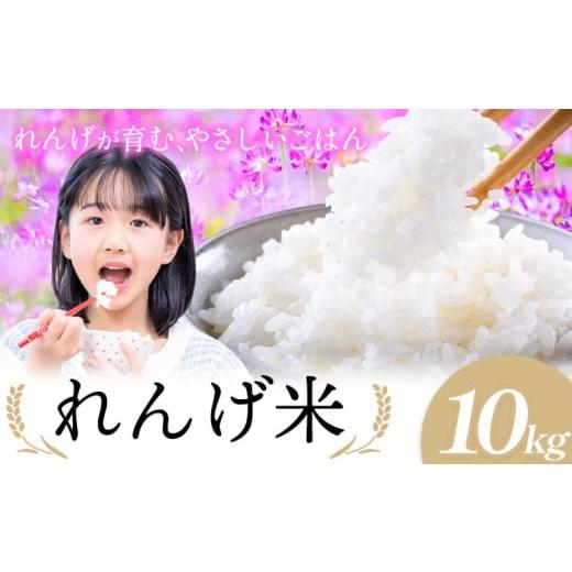 ふるさと納税 米 茨城県 結城市 令和7年産 米 茨城県結城市産 れんげ米 10kg[30日以内に出荷予定(土日祝除く)]茨城県 結城市 白米 米 こめ コメ