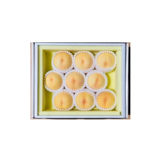 ふるさと納税 もも 岡山県 美作市 先行予約 2026年7月下旬より順次発送予定 岡山県産 清水白桃(2kg箱) 1667419