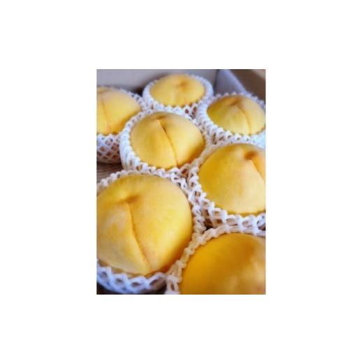 ふるさと納税 もも 岡山県 美作市 先行予約 2026年9月中旬より順次発送予定 岡山県産 黄金桃(2kg箱) 1667464