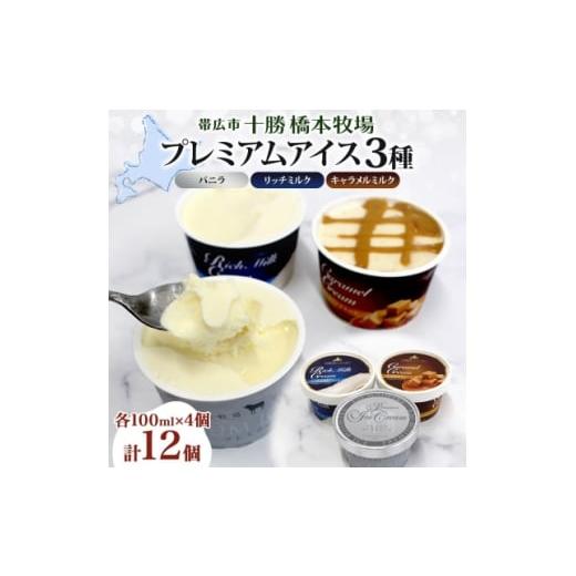 ふるさと納税 菓子 アイス 北海道 帯広市 十勝橋本牧場 プレミアムアイス 全味食べ比べセット(3種×各4個) 1675556