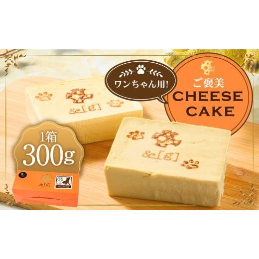 ふるさと納税 ケーキ・カステラ チーズケーキ 茨城県 守谷市 ワンちゃん用 ご褒美 cheese cake | ペット デザート スイーツ お菓子 洋菓子 菓子 冷凍 犬 ドッ…