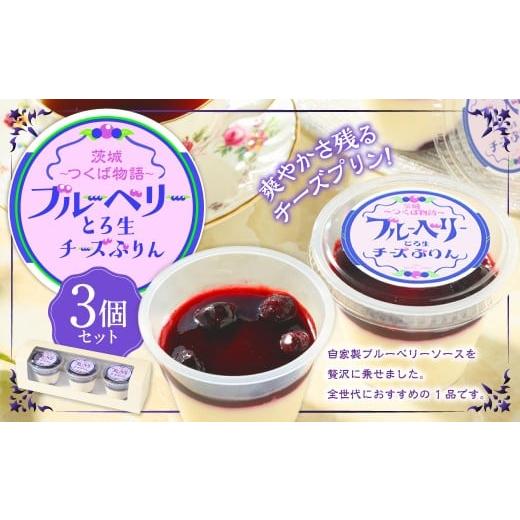 ふるさと納税 菓子 プリン 茨城県 守谷市 とろ生チーズプリン(ブルーベリーソース)3個セット | プリン デザート スイーツ お菓子 洋菓子 菓子 ブルーベリーソ…