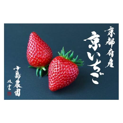 ふるさと納税 いちご 京都府 亀岡市 高級いちご 定期便 3回 完熟 朝採れ 1箱 約450g 小島農園 紅ほっぺ おいCベリー スターナイトから厳選してお届け 期間限定…