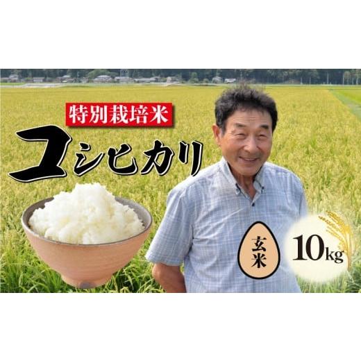 ふるさと納税 米 コシヒカリ 新潟県 新発田市 玄米 特別栽培米 コシヒカリ 10kg 新潟 米 令和7年産 玄米 翌月配送 新潟県 こめ ご飯 ごはん おいしい こしひ…