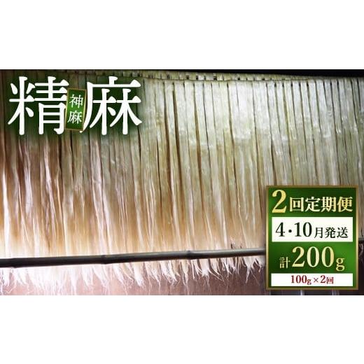 ふるさと納税 仏具・神具 栃木県 鹿沼市 定期便(発送月固定) 精麻(神麻) 100g 全2回 |野州麻紙工房 トチギシロ 希少 日本産 麻 お守り 伝統行事 しめ縄 …