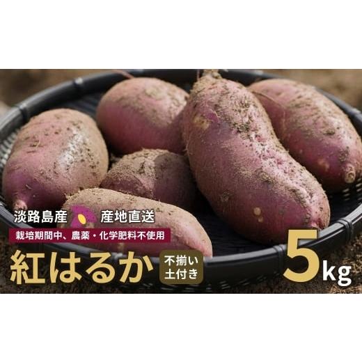 ふるさと納税 野菜類 サツマイモ 兵庫県 淡路市 産地直送 紅はるか(淡路島産)土付き 約5kg 不揃い 栽培期間中、農薬・化学肥料不使用
