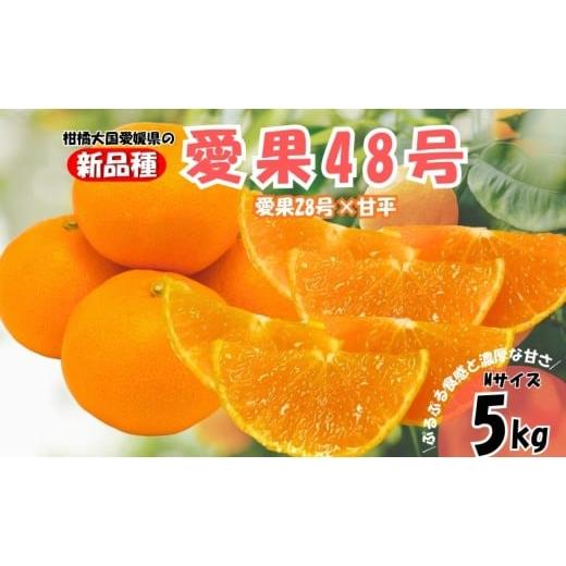 ふるさと納税 みかん・柑橘類 愛媛県 伊予市 みかん 愛果48号 5kg Mサイズ バラ詰め 紅プリンセスと同一品種 農園直送 先行予約 3月上旬から順次発送予定 愛媛…
