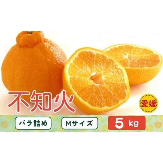 ふるさと納税 みかん・柑橘類 愛媛県 伊予市 みかん 不知火 しらぬい 5kg Mサイズ バラ詰め 3月中旬順次発送予定 愛媛みかん ミカン 蜜柑 果物 くだもの フル…