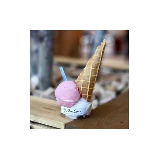 ふるさと納税 地元のお買物券 東京都 世田谷区 季節の天然素材ジェラート AmiCono JIYUGAOKA お買い物に使える3,000円分チケット(ふるさとチケット) アイス …