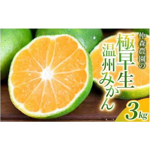 ふるさと納税 果物類 みかん 三重県 熊野市 仲森農園の極早生温州みかん 約3kg みかん ミカン 蜜柑 温州みかん 温州ミカン 柑橘 フルーツ 果物 くだもの 甘い …