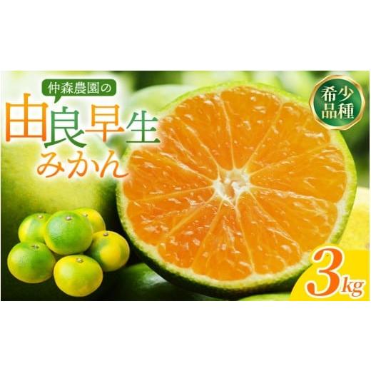 ふるさと納税 果物類 みかん 三重県 熊野市 仲森農園の由良早生みかん 約3kg みかん ミカン 蜜柑 温州みかん 温州ミカン 柑橘 フルーツ 果物 くだもの 早生 甘…