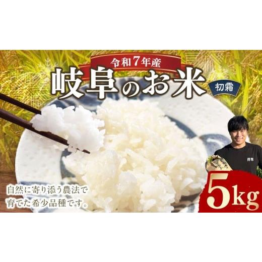 ふるさと納税 米 岐阜県 美濃加茂市 先行予約 令和7年産 岐阜のお米 ハツシモ 初霜 5kg お米 米 コメ こめ 白米 精米 白ご飯 ご飯 岐阜県 美濃加茂市 2026年4…