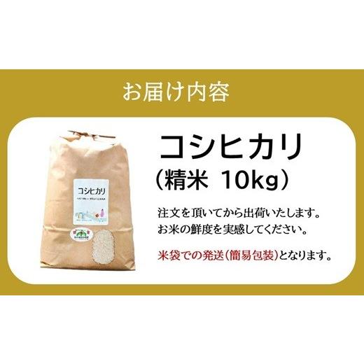 ふるさと納税 米 コシヒカリ 三重県 松阪市 特別栽培米 精米 10kg（減