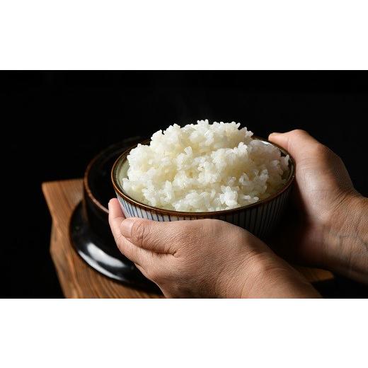 ふるさと納税 米 コシヒカリ 三重県 松阪市 特別栽培米 精米 10kg（減