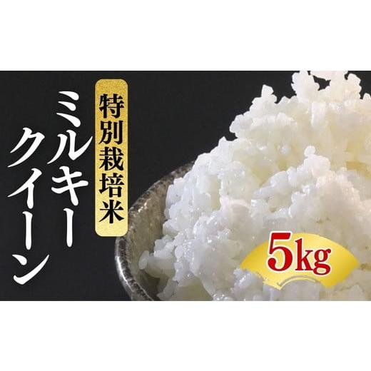 ふるさと納税 米 ミルキークイーン 三重県 松阪市 ミルキークイーン 特別栽培米 精米 5kg(減農薬 有機肥料 お米 米 おこめ こめ 白米 みるきーくいーん) 002…