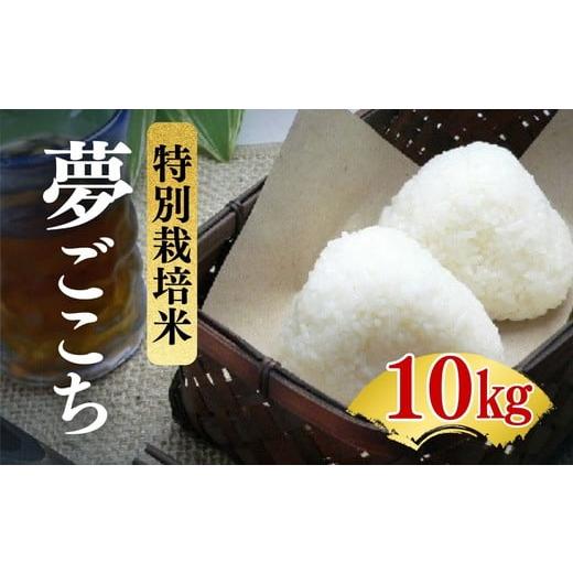 ふるさと納税 米 三重県 松阪市 夢ごこち 特別栽培米 精米 10kg(減農薬 有機肥料 お米 米 おこめ こめ 白米 ゆめごこち) 002312