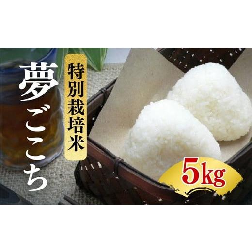 ふるさと納税 米 三重県 松阪市 夢ごこち 特別栽培米 精米 5kg(減農薬 有機肥料 お米 米 おこめ こめ 白米 ゆめごこち) 002313