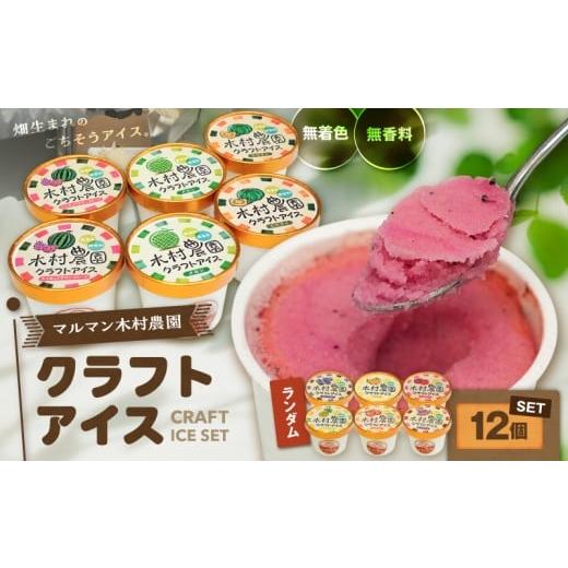 ふるさと納税 菓子 アイス 神奈川県 三浦市 マルマン木村農園クラフトアイス(12個入り) M129-001-02