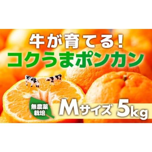 ふるさと納税 みかん・柑橘類 高知県 東洋町 先行予約 牛が育てる コクうまポンカン 5kg Mサイズ Mサイズ