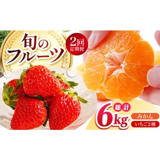 ふるさと納税 果物の詰合せ 佐賀県 江北町 全2回定期便 旬のフルーツ定期便 ( みかん ・ いちご ) HZY101 江北町ふるさと納税 いちご 苺 イチゴ 果物 くだ…