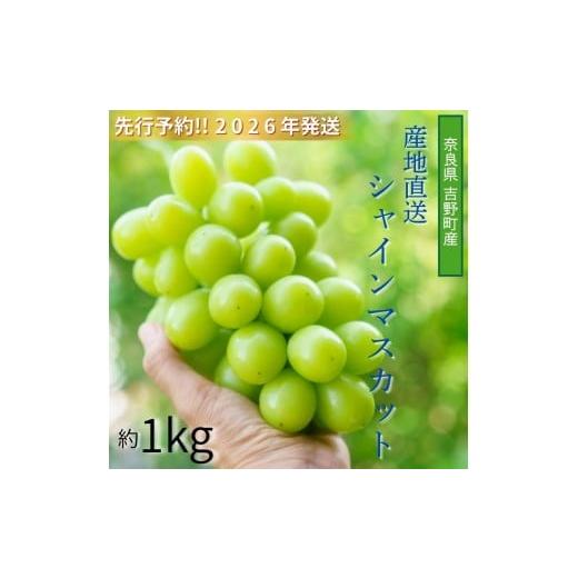 ふるさと納税 ぶどう マスカット 奈良県 吉野町 令和8年分 先行予約 シャインマスカット 約1kg